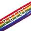 Regenbogenarmband aus Leder, Unisex, LGBT-Pride-Schmuck, lesbisch, bisexuell, trans thumbnail 3