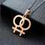 Günstiger LGBT-Schmuck im Großhandel: Minimalistische Halskette aus silber-/gold-/roségoldplattiertem Edelstahl mit lesbischem Symbol thumbnail 2