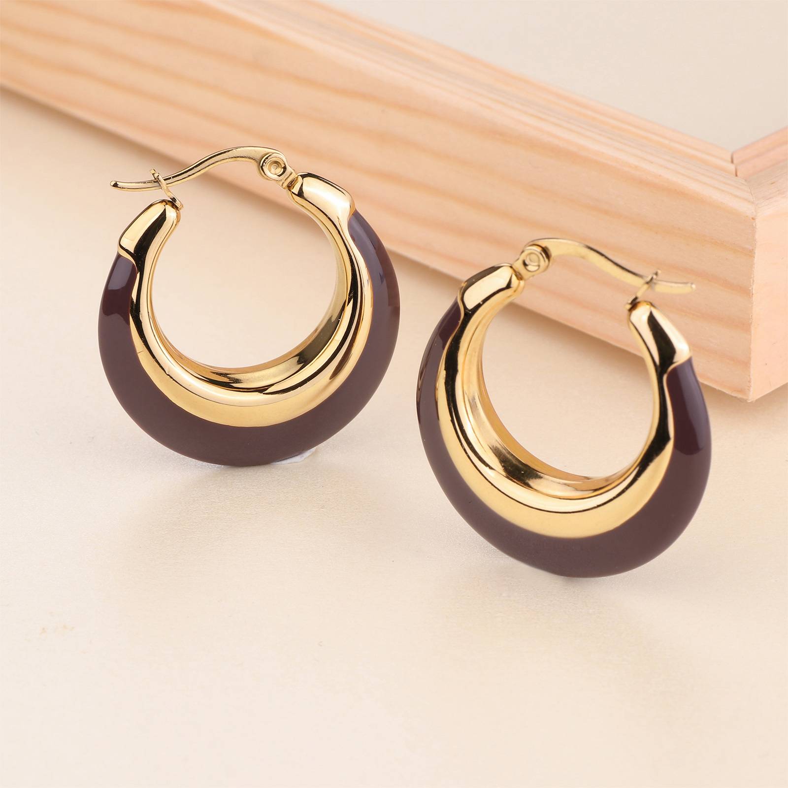 Lonceen Brown Stainless Steel Earrings for Women