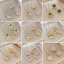 18k Gold Plated Copper Zircon Crystal Pendant Necklace Earrings Jewelry Set for Women Gift thumbnail 1